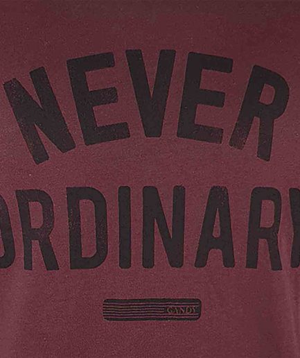 Ανδρική μπλούζα Never Ordinary Bordeaux